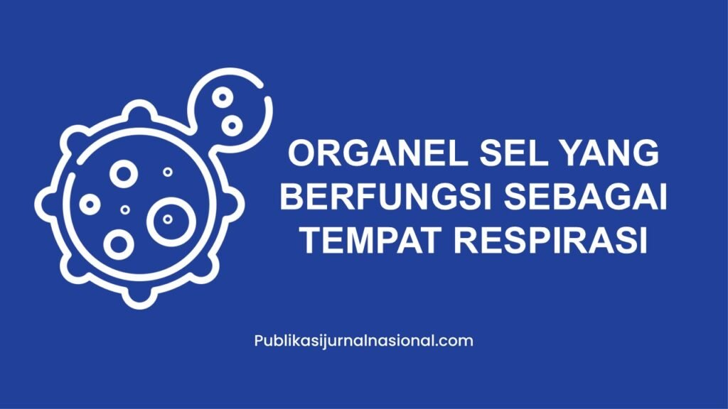 Organel Sel Yang Berfungsi Sebagai Tempat Respirasi Adalah