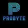 Probyte Agency